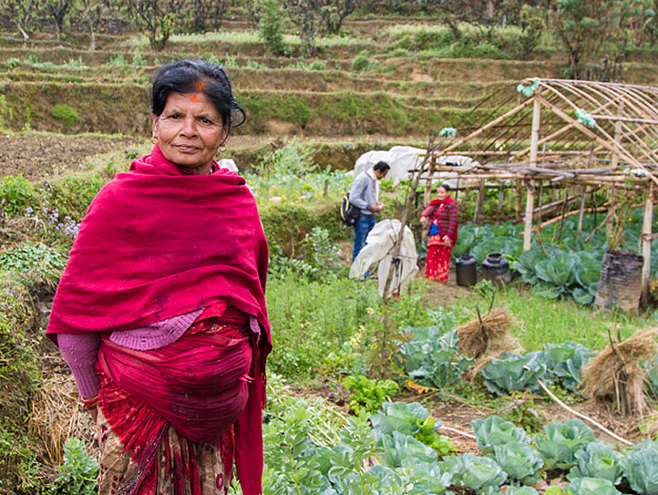 SAFBIN – Strengthening small farmers in South Asia in times of climate change