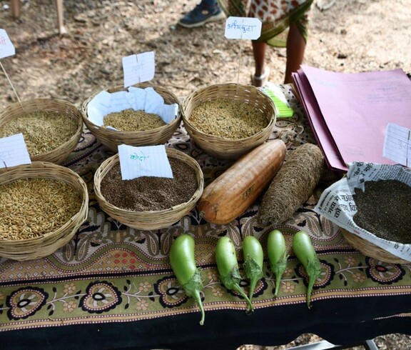 Several baskets with regional seeds and vegetables laid out on a table, alongside labels and documents