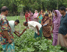 Researchers and farmers during a joint field training session as part of the SAFBIN project