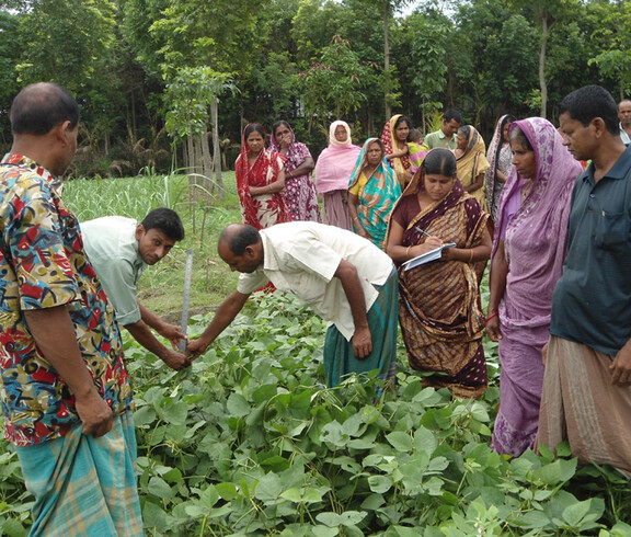 Researchers and farmers during a joint field training session as part of the SAFBIN project