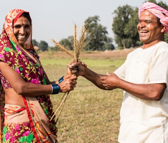 Two cheerful farmers in a field exchanging grain ears – symbolic image for climate-friendly agriculture in the SAFBIN project in South Asia