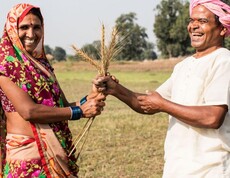 Two cheerful farmers in a field exchanging grain ears – symbolic image for climate-friendly agriculture in the SAFBIN project in South Asia