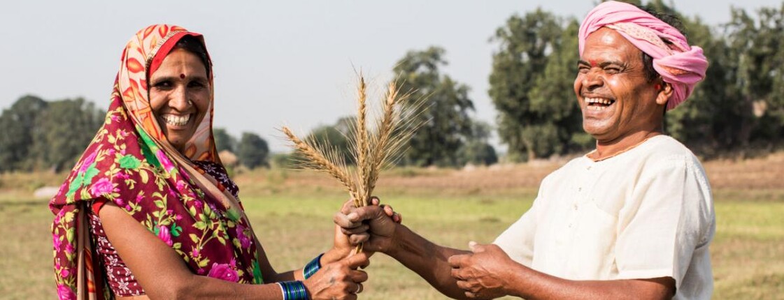 Two cheerful farmers in a field exchanging grain ears – symbolic image for climate-friendly agriculture in the SAFBIN project in South Asia