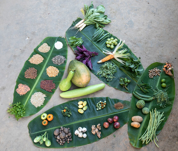 Various vegetables, fruits and seed varieties laid out on large banana leaves