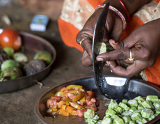 Close-up: A woman cuts a cucumber with a sickle, surrounded by further vegetables