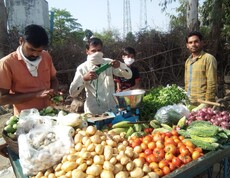 Four men stand behind a market stall with fresh vegetables such as tomatoes, potatoes, garlic and onions